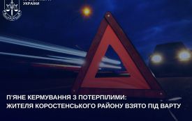 П’яне кермування з потерпілими: жителя Коростенського району взято під варту