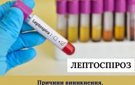 Лептоспіроз. Причини виникнення, результати лабораторної діагностики та профілактика