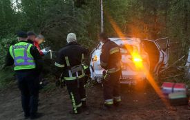 Подробиці ДТП на Малинщині із загиблою пасажиркою: водій був тверезий
