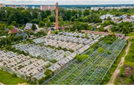 У Житомирі готують запуск AgriTech Innovation Lab на базі міської теплиці