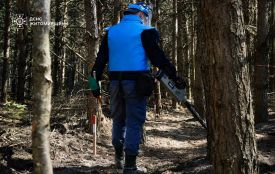 Гуманітарне розмінування: піротехніки ДСНС Житомирщини обстежили понад 9500 кв. м території