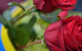 Лише через рік і два місяці повернувся на щиті до Житомира Захисник Кочарян Арутюн