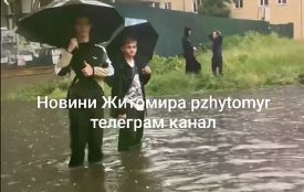 Після зливи — під воду: на Покровській у Житомирі застряг тролейбус, рух транспорту ускладнений. ВІДЕО