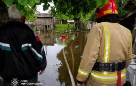 Після рясних злив рятувальники відкачували воду у господарствах Бердичівського та Житомирського районів