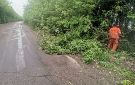 На Житомирщині дорожники ліквідовували наслідки негоди