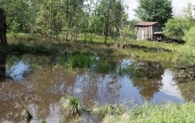 В Ушомирській громаді через негоду та різкий підйом води в річці Уж підтопило двадцять житлових та господарських будівель
