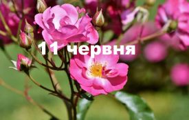 11 червня: все про цей день, яке церковне свято, традиції, прикмети і погода у Житомирі