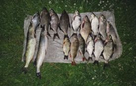 На Іршанському водосховищі виявлено грубе порушення правил рибальства