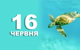 16 червня: все про цей день, яке церковне свято, традиції і погода у Житомирі