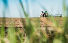Аграрії Житомирщини завершили посівну кампанію — засіяно понад 1 млн гектарів