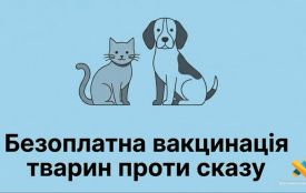 18 червня у Житомирі розпочинають безоплатну вакцинацію тварин проти сказу