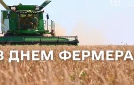 19 червня: все про цей день, яке церковне свято, традиції і погода у Житомирі