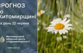 22 червня: яке сьогодні свято,  заборони, прогноз погоди у Житомирі