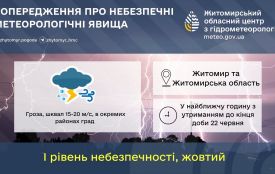 Метеорологи попереджають про грозу у Житомирі та по області