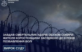 Жителя Коростенщини, який завдав знайомому смертельних ударів обухом сокири, засуджено до 8 років позбавлення волі