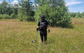 Поблизу села у Бердичівському районі люди під час прогулянки виявили  ручну осколкову гранату часів Другої світової війни
