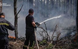 Дим із Чорнобильської зони може дістатися Житомирщини: жителів закликають стежити за якістю повітря