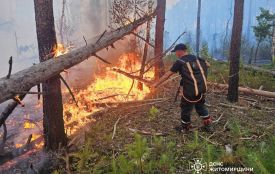 У Коростенському районі триває ліквідація лісової пожежі