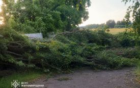 На Коростенщині рятувальники долали наслідки негоди:  вітер пошкодив покрівлі житлових будинків і обірвав лінії електропередач