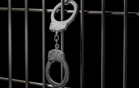 Бердичівлянку засуджено до 6 років 3 місяців позбавлення волі за спробу передачі метадону до виправної колонії