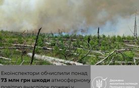 Екологи нарахували понад 73 млн грн збитків від пожежі, спричиненої ворожою атакою на заповідник «Древлянський»