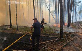 Рятувальники локалізували лісову пожежу в Коростенському районі