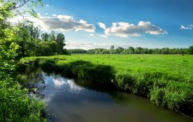 За позовом прокуратури виконано рішення суду: земельну ділянку водного фонду площею понад 100 га повернуто державі