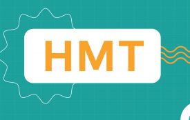 Понад сто випускників Житомирщини набрали 200 балів на НМТ