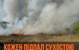На Житомирщині упродовж минулої доби вогнеборці ліквідували дві пожежі сухої рослинності