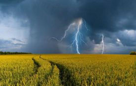 Сильні дощі з грозами пройдуть завтра в Україні