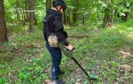 Поблизу села у Житомирського району піротехніки ДСНС знешкодили артилерійський снаряд часів минулих війн