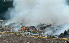 На Житомирщині за добу рятувальники ліквідували 4 пожежі в екосистемах