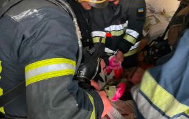 У Житомирі на пожежі врятували 81-річну жінку
