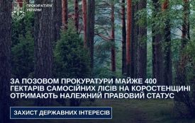 За позовом прокуратури майже 400 гектарів самосійних лісів на Коростенщині отримають належний правовий статус