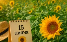 15 липня: все про цей день, яке церковне свято, події і погода у Житомирі