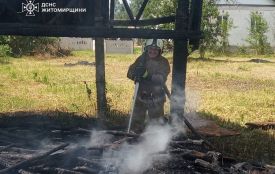 62-річна жінка отримала опіки, намагаючись загасити палаючу суху траву