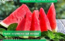Сезон кавунів: чим корисна ця ягода та як запобігти отруєнню