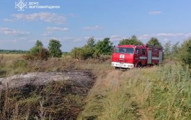 Чотири пожежі сухої рослинності загальною площею 3,82 га ліквідували вчора вогнеборці Житомирщини
