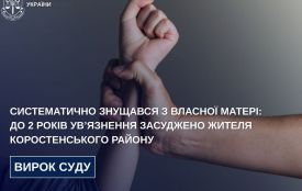 До 2 років ув’язнення засуджено жителя Коростенського району за систематичні знущання з власної матері