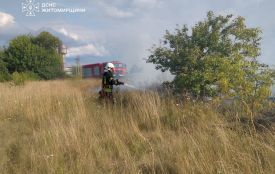 Вогонь ледь не дістався пшеничного поля: за добу на Житомирщині рятувальники ліквідували шість пожеж сухостою