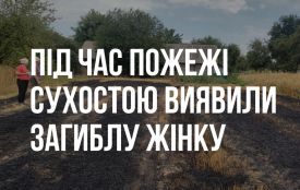 На Звягельщині під час спалювання сухостою загинула жінка