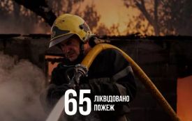 Підрозділи ДСНС Житомирщини минулого тижня 95 разів залучалися до ліквідації надзвичайних подій