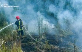 Минулої доби на Житомирщині зафіксовано 6 пожеж сухої рослинності
