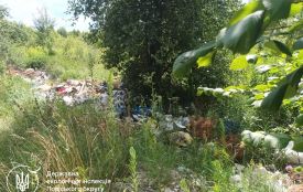 На території Чоповицької громади на Житомирщині екологи виявили несанкціоноване сміттєзвалище