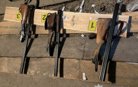 Під час незаконного полювання у Коростенському районі травмовано двох чоловіків