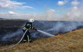 За добу рятувальники Житомирщини ліквідували 11 пожеж сухої трави