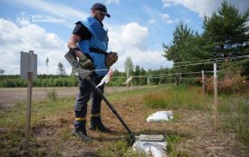 Піротехніки ДСНС  Житомирщини продовжують гуманітарне розмінування у Коростенському районі: за добу обстежили понад 100 кв. м