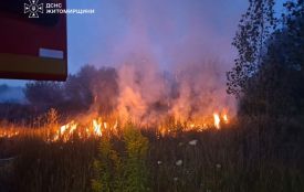 Минулої доби рятувальники 11 разів виїжджали на пожежі сухостою