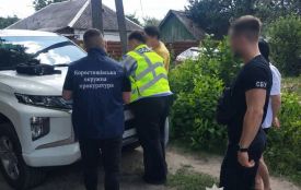 Вирубили ліс більш ніж на 34 млн грн: двом жителям Житомирщини оголошено про підозру