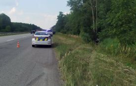 ДТП у Пулинській громаді за участю іноземця: травми отримали двоє людей